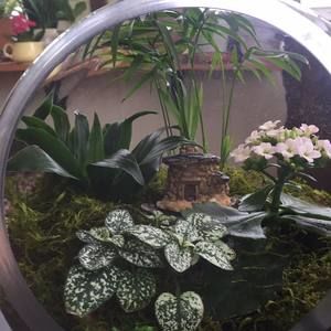 Meet your Posher, Kathleen